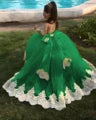 Appliqued Flower Girl Princess Dress