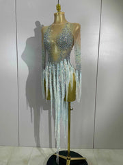 Riza Rhinestone Tassel Long Sleeve Mesh Mini Dress