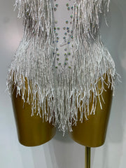 Danica sparkly rhinestones fringes leotard with tassel details for women.