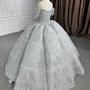 Organza Appliqué Ball Gown Quinceañera Dress