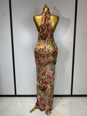 Julia sexy colorful diamond mesh see-through long dress for women with sparkling rhinestone details.