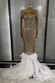 Lala Crystal Mesh Maxi Dress | Long Sleeve Sheer Feather Evening Gown
