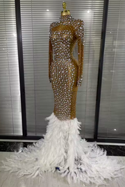 Lala Crystal Mesh Maxi Dress | Long Sleeve Sheer Feather Evening Gown