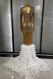 Lala Crystal Mesh Maxi Dress | Long Sleeve Sheer Feather Evening Gown