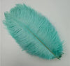 Custom Feathers