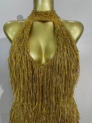 Shine in the Rhaena gold rhinestone tassel mini dress. Luxury bodycon party dress for birthdays, cocktail parties, and special occasions.