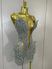 Kiara deep V silver diamond mesh mini dress for women. Sexy sparkly outfit for birthdays, nightclub, and stage events.