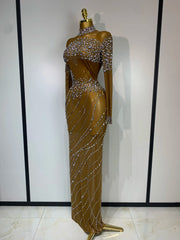 Monet sparkly rhinestone mesh brown long prom dress for women.