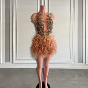 Brown Feather Birthday Dress