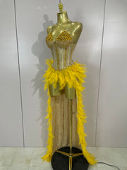 Gabrielle luxury rhinestone feather mesh long tail bodysuit for women, perfect for stage and nightclub performances.