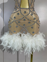 Belinda crystal embellished mini dress featuring feather accents and hollow-out details for a glamorous party look