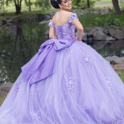 Puffy Ball Gown Luxury Quinceañera Dress