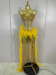 Gabrielle luxury rhinestone feather mesh long tail bodysuit for women, perfect for stage and nightclub performances.