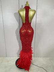Keziah luxury red rhinestone feather mesh long dress for women, perfect for birthdays, nightclubs, or stage events.
