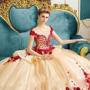 Sweet 16 3D Applique Ball Gown Quinceañera Dress