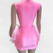 Pink Feather Sparkly Crystals Birthday Dress