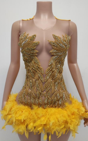 Sparkly rhinestone sleeveless birthday dress for women party and club wear.