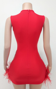 Sparkly rhinestone sleeveless birthday dress for women party and club wear.