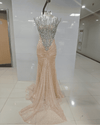 Champagne Nude Crystal Fringe Mesh Mermaid Gown