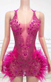 ntricate Rhinestone Mesh Party Dress With Ostrich Feather Trim Luxury Feather Mini Dress