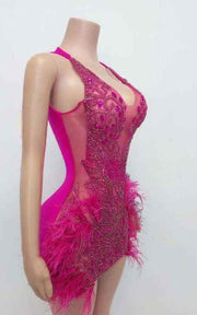 ntricate Rhinestone Mesh Party Dress With Ostrich Feather Trim Luxury Feather Mini Dress