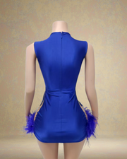 Blue Sparkly Sexy Rhinestone Sleeveless Birthday Dress