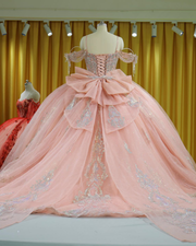 Blush pink glitter quinceañera ball gown with silver appliqués and corset bodice.