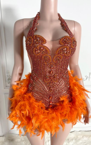 Mini birthday dress with glitter crystals and feathered details for parties and celebrations.