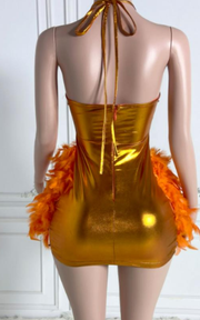 Mini birthday dress with glitter crystals and feathered details for parties and celebrations.