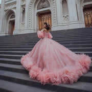 Stunning Princess Quinceañera Dress with Detachable Sleeves