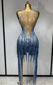 Shin Sparkly Sequin Rhinestone Tassel Sheer Mesh Sleeveless Dress