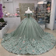 Sage Green Quinceañera Ball Gown with 3D Floral Appliques