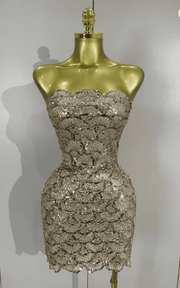 Kaycee Sparkly Silver Sequin Strapless Sheer Mesh Bodycon Mini Dress