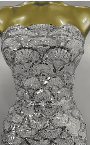 Kaycee Sparkly Silver Sequin Strapless Sheer Mesh Bodycon Mini Dress