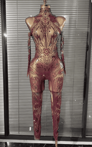 Laura Sexy Sheer Mesh Bodycon Jumpsuit