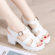 Summer new women's chunky sandals trend casual all-match large size high-heeled sandals