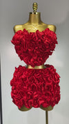Ava Strapless Red flower Top With Mini Skirt Bodycon