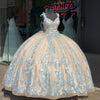 Gorgeous Lace Princess Ball Quinceanera Dress