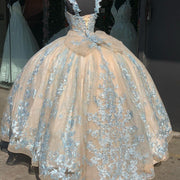 Gorgeous Lace Princess Ball Quinceanera Dress