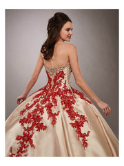 Champagne Red Appliques Quince Dress vestidos de 15 años Satin Ball Gown vestido quinceanera 15 WQ9825