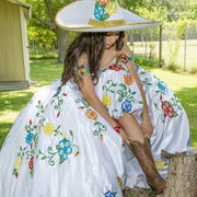 Luxury Embroidered Ball Gown Quinceanera Dress