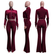 Sporty Velvet Solid Zipper 2 Piece Pant Sets