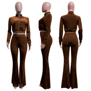 Sporty Velvet Solid Zipper 2 Piece Pant Sets