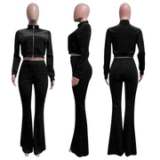 Sporty Velvet Solid Zipper 2 Piece Pant Sets