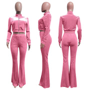 Sporty Velvet Solid Zipper 2 Piece Pant Sets