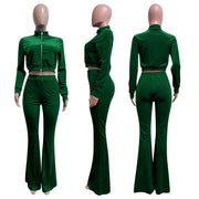 Sporty Velvet Solid Zipper 2 Piece Pant Sets