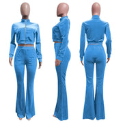 Sporty Velvet Solid Zipper 2 Piece Pant Sets