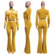 Sporty Velvet Solid Zipper 2 Piece Pant Sets