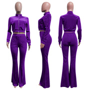 Sporty Velvet Solid Zipper 2 Piece Pant Sets