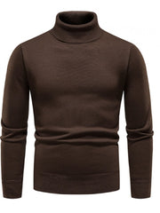 Pure Color Turtleneck Men's Long Sleeve Knitwear